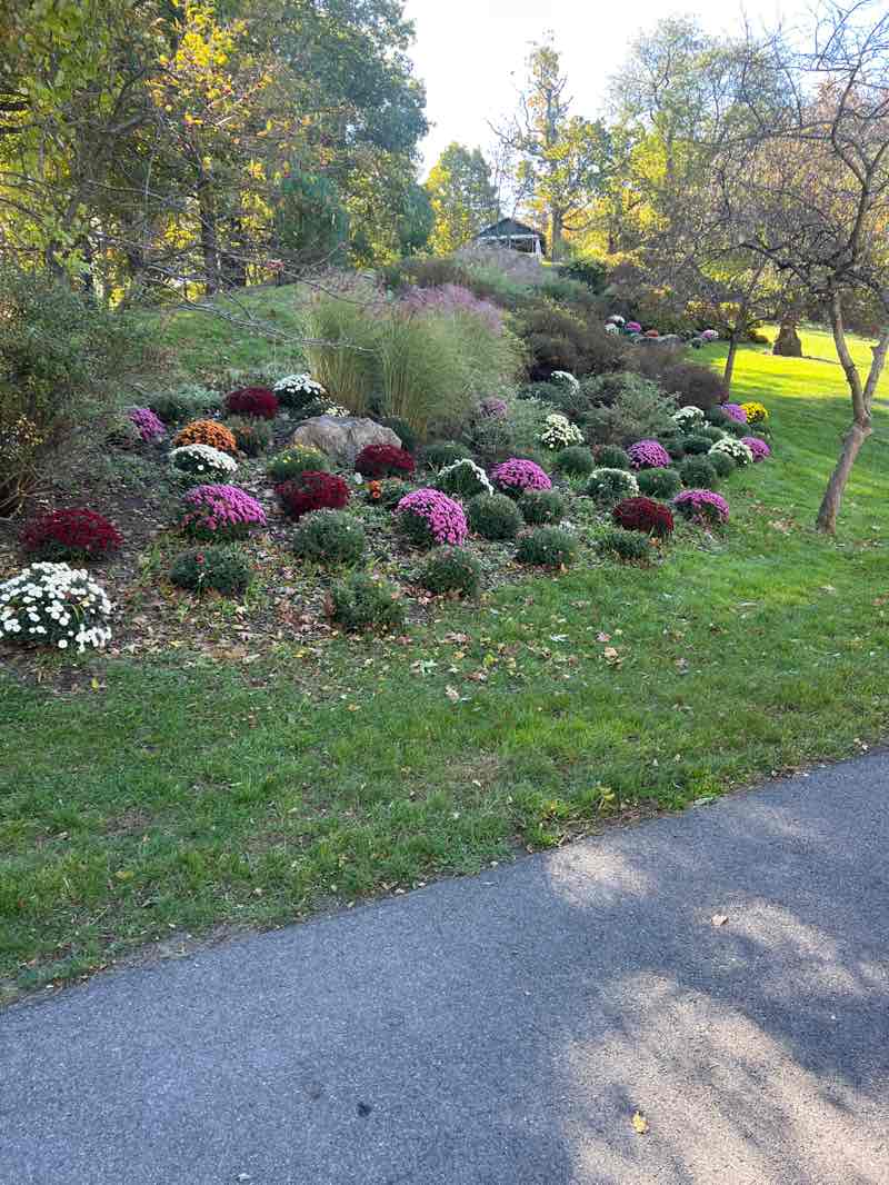 walking near me in Seamon Park in autumn