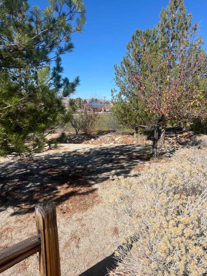 walking near me in Tumbleweed Trails Park in autumn