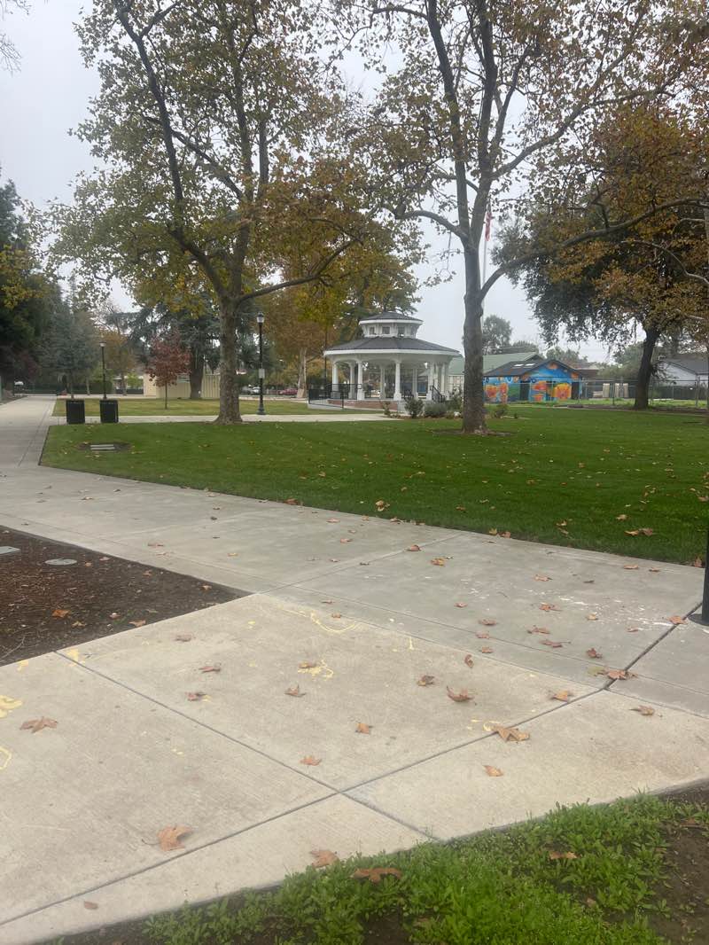 walking near me in Freeman Park in autumn