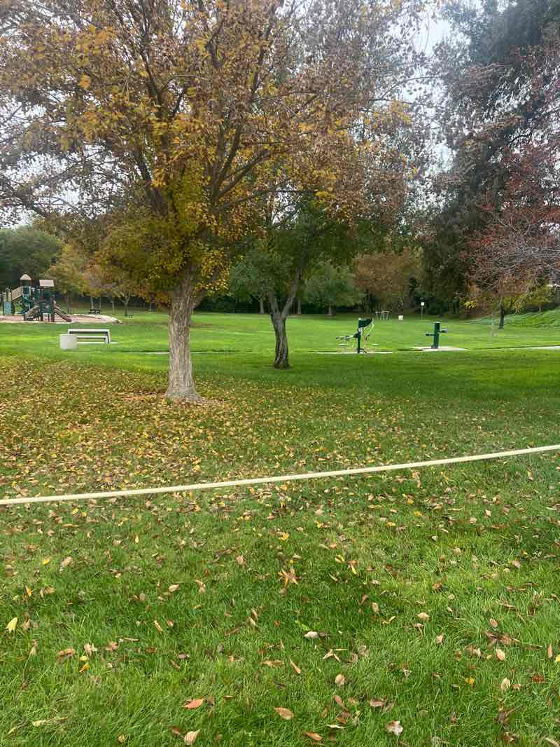 walking near me in Valley Oak Park in autumn