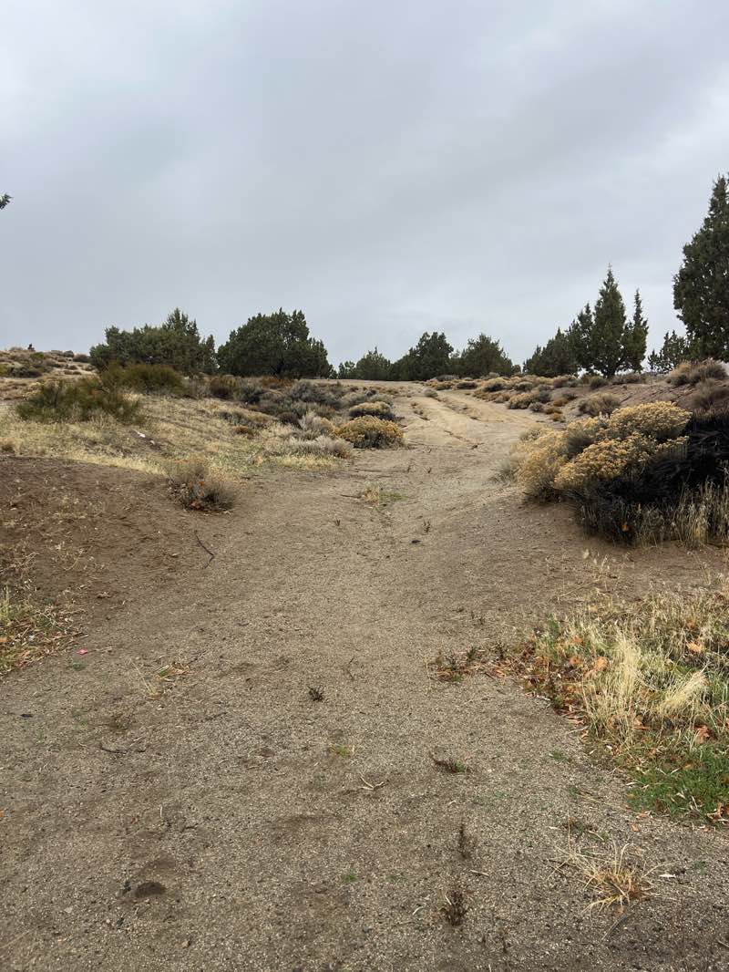 walking near me in Sun Valley Regional Park in autumn