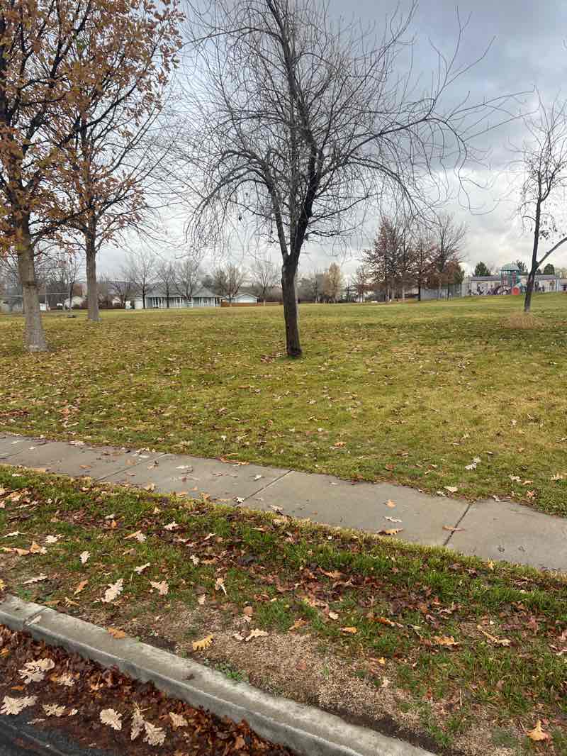 walking near me in Jacinto Park in autumn