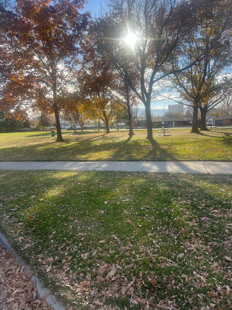 walking near me in Poulakidas Park in autumn