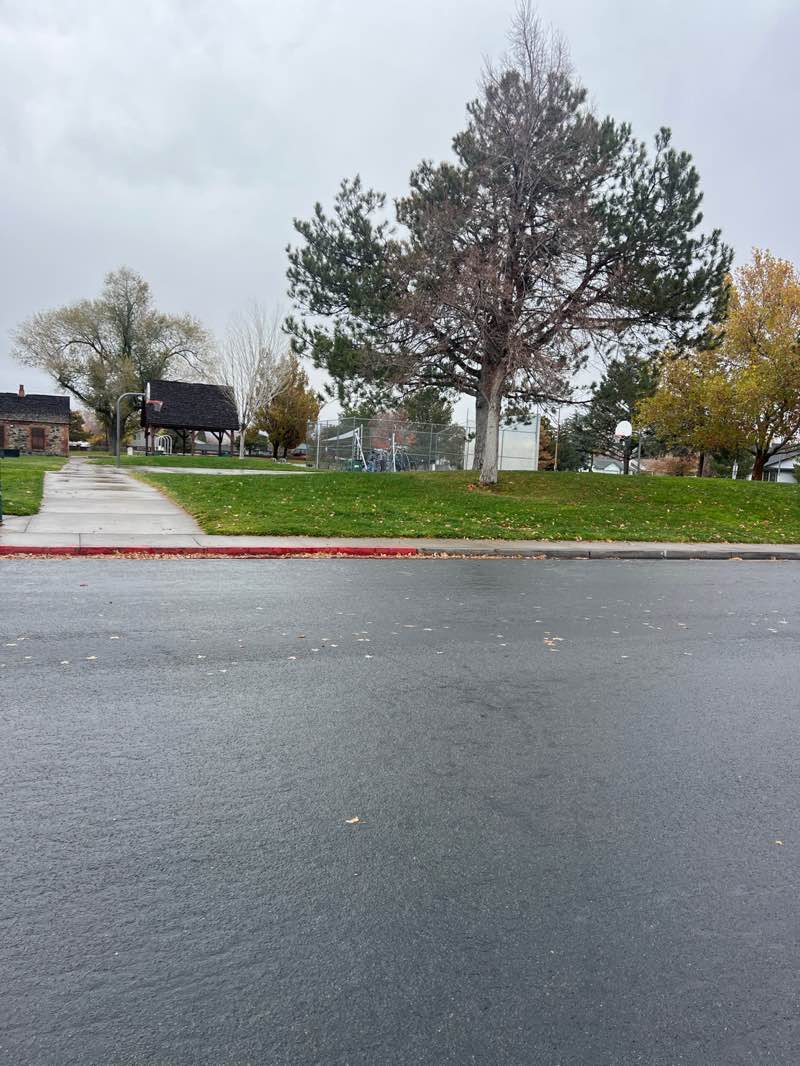 walking near me in Willowcreek Park in autumn