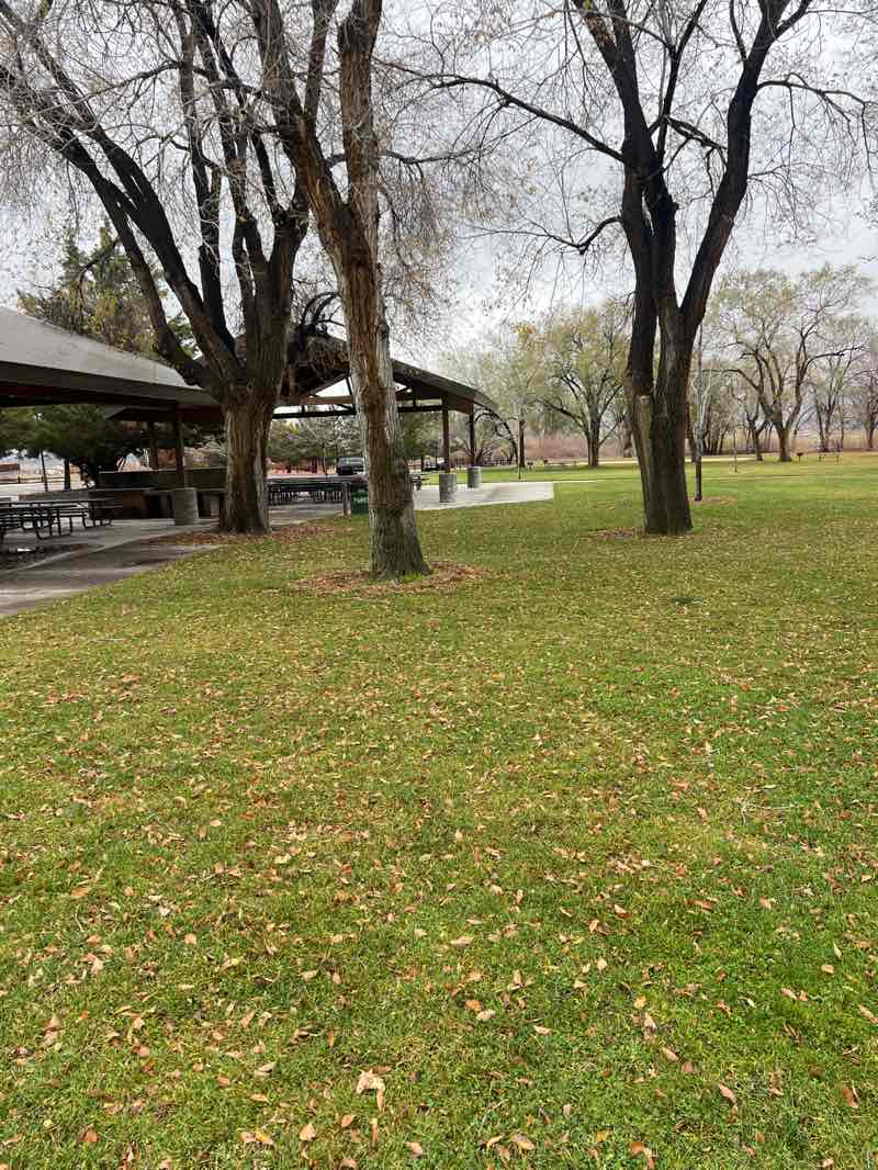 walking near me in Lazy 5 Regional Park in autumn