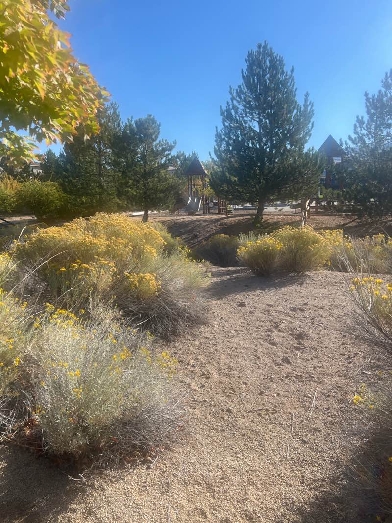walking near me in Bitterbrush Park in autumn