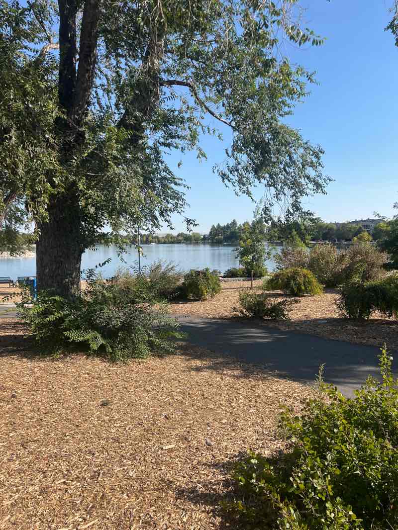 walking near me in Virginia Lake Park in autumn