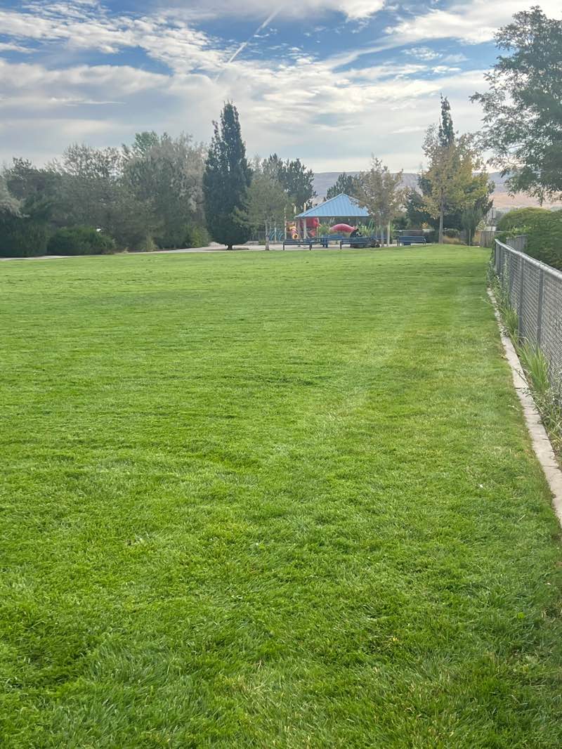 walking near me in Desert Winds Park in autumn