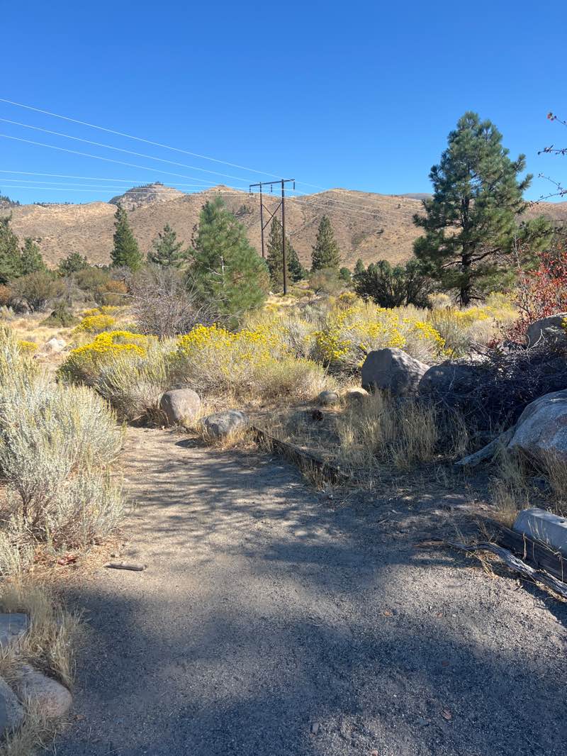 walking near me in Verdi School Park in autumn