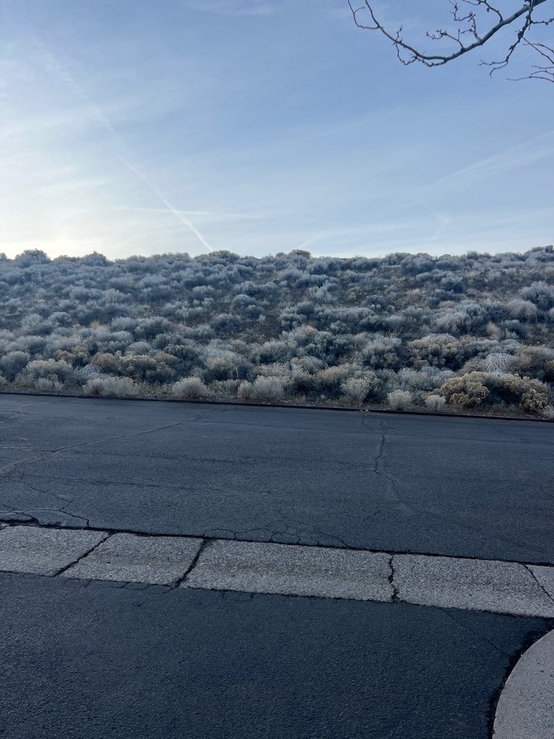 walking near me in Gandolfo Rodeo Arena in winter