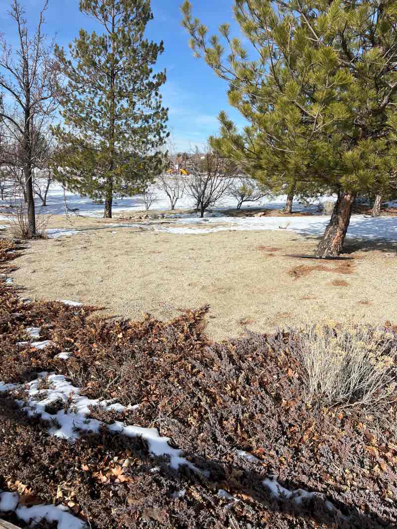 walking near me in Tumbleweed Trails Park in winter