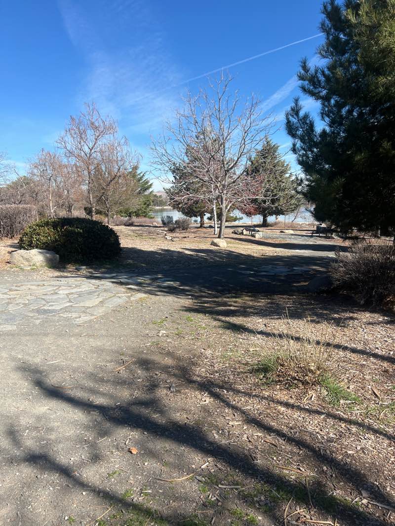 walking near me in Virginia Lake Park in spring