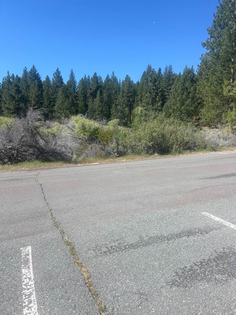 walking near me in Davis Creek Washoe County Park in spring