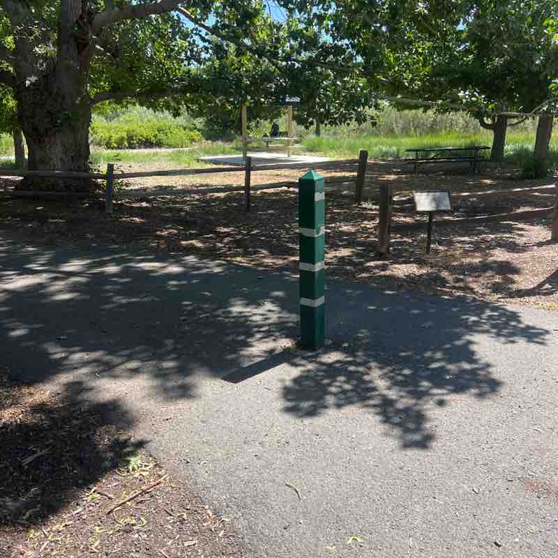 1treemd post 1
