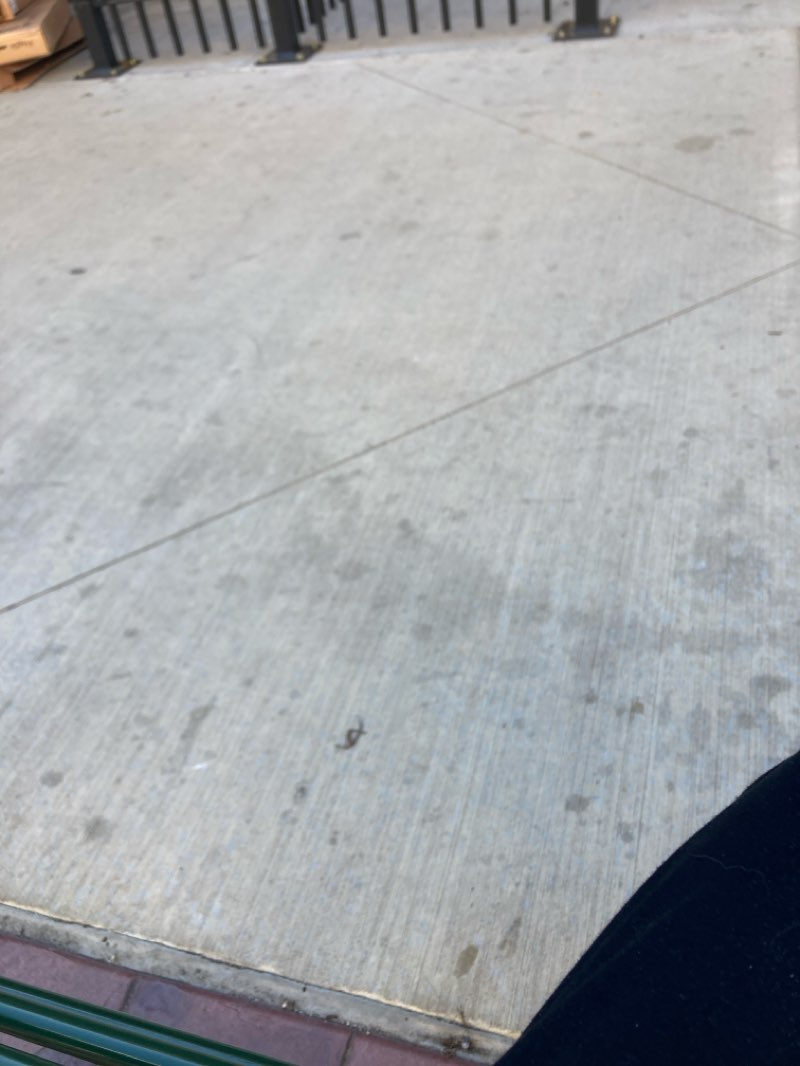 walking near me in Acacia Park in spring