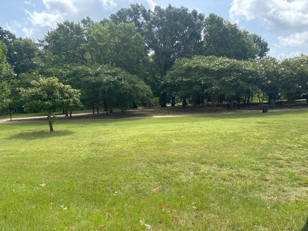 walking near me in Southside Park in summer