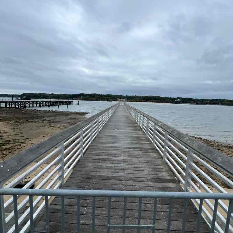 Bobby 🇺🇸 post 2