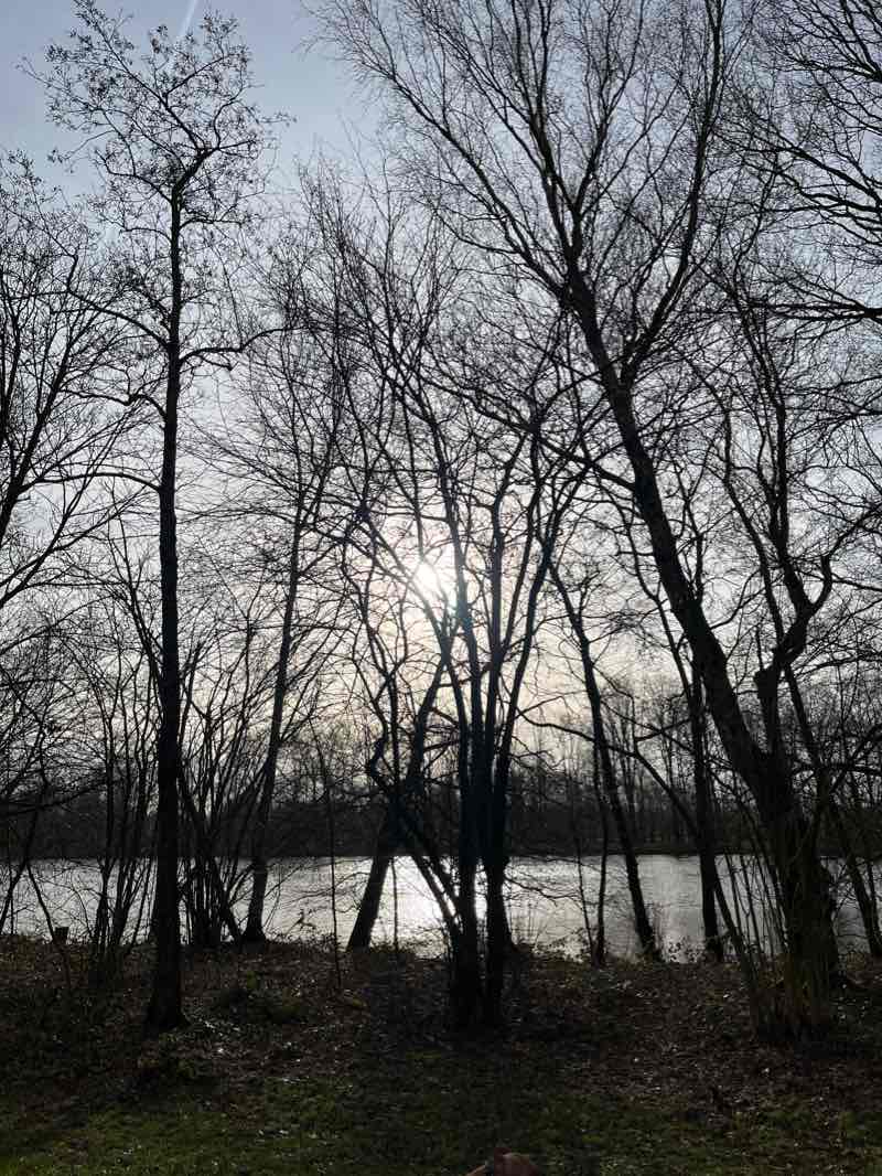 walking near me in Kronenbergerpark in winter
