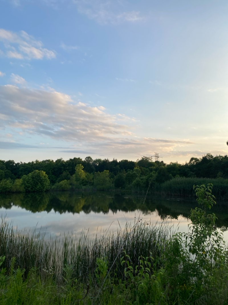 walking near me in Turkey Run Park in summer
