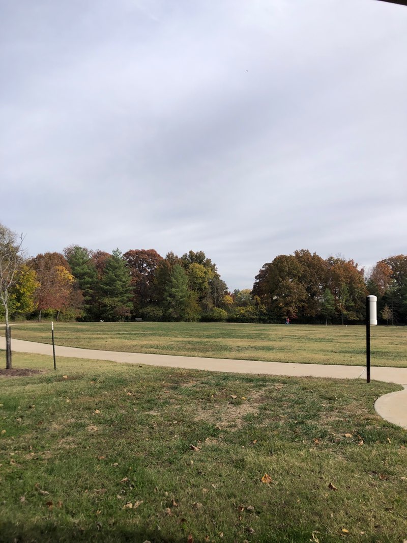 walking near me in Ferris Park in autumn