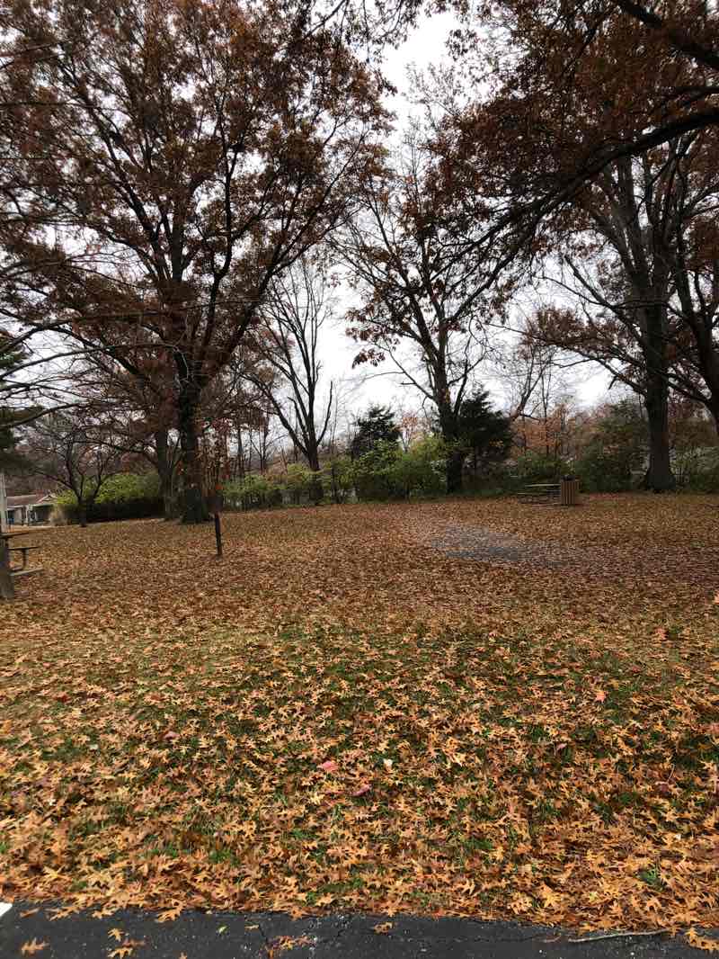 walking near me in New Ballwin Park in autumn