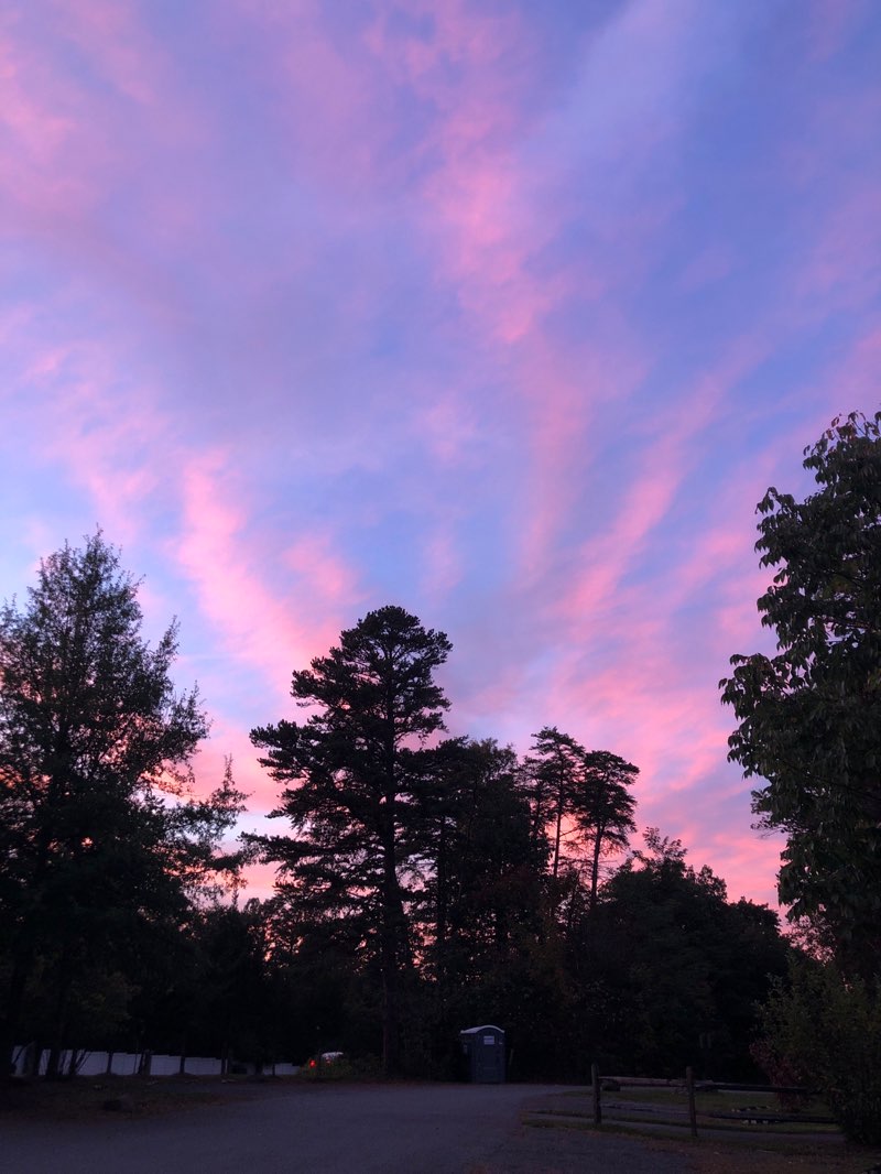 walking near me in Runnymede Park in autumn