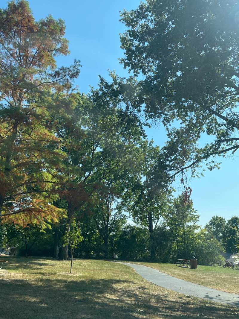 walking near me in New Ballwin Park in autumn