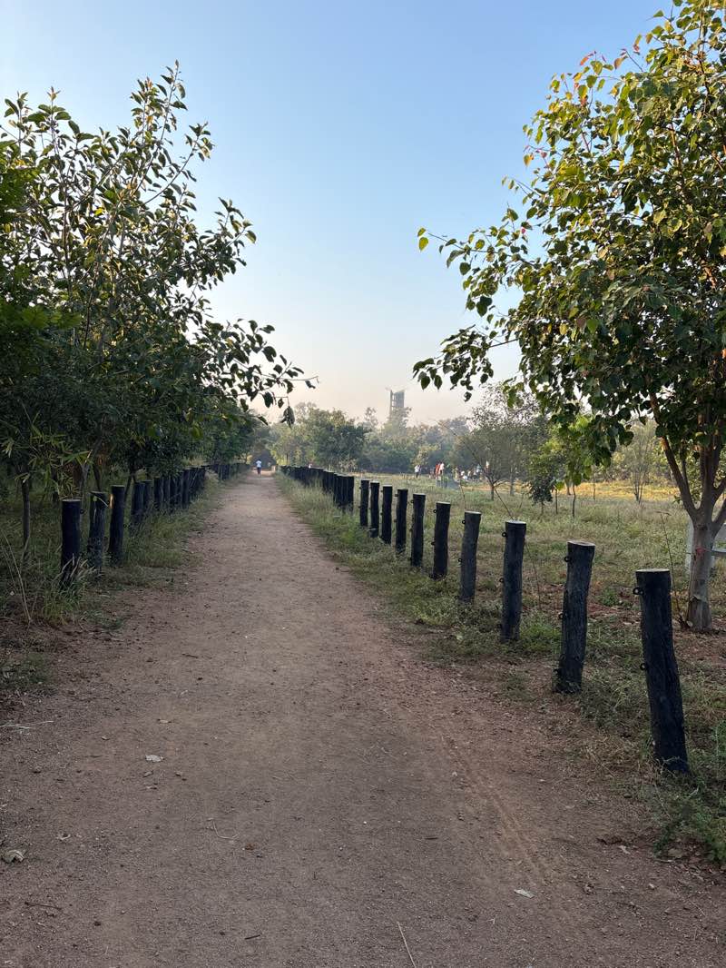 walking near me in Mahavir Harina Vanasthali National Park in autumn