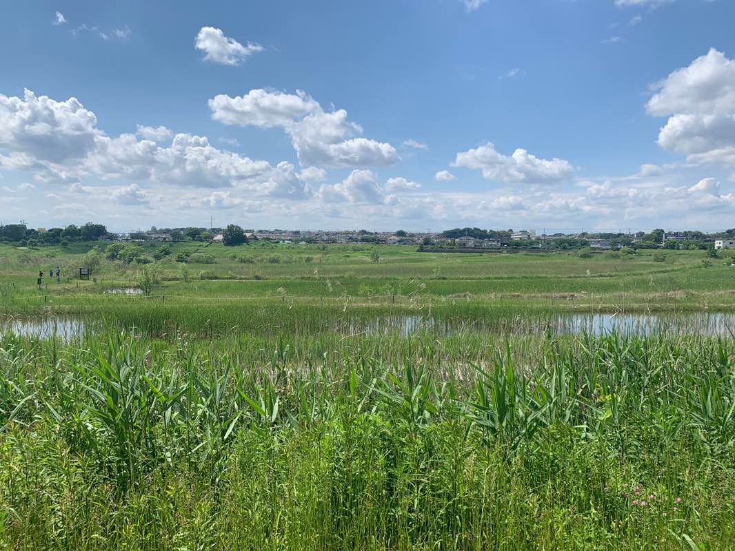 walking near me in こざと北公園 kozato kita park in winter