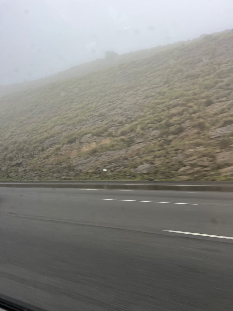 walking near me in Indian Springs Open Space in spring