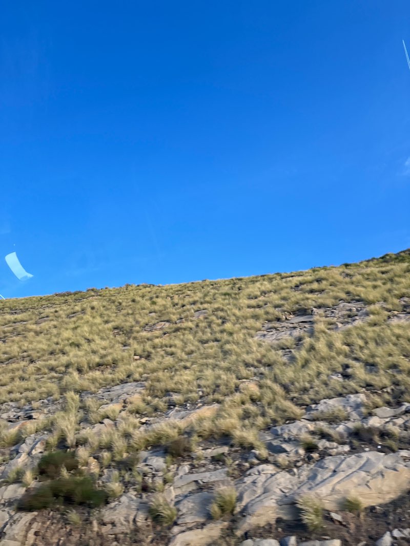 walking near me in Indian Springs Open Space in spring