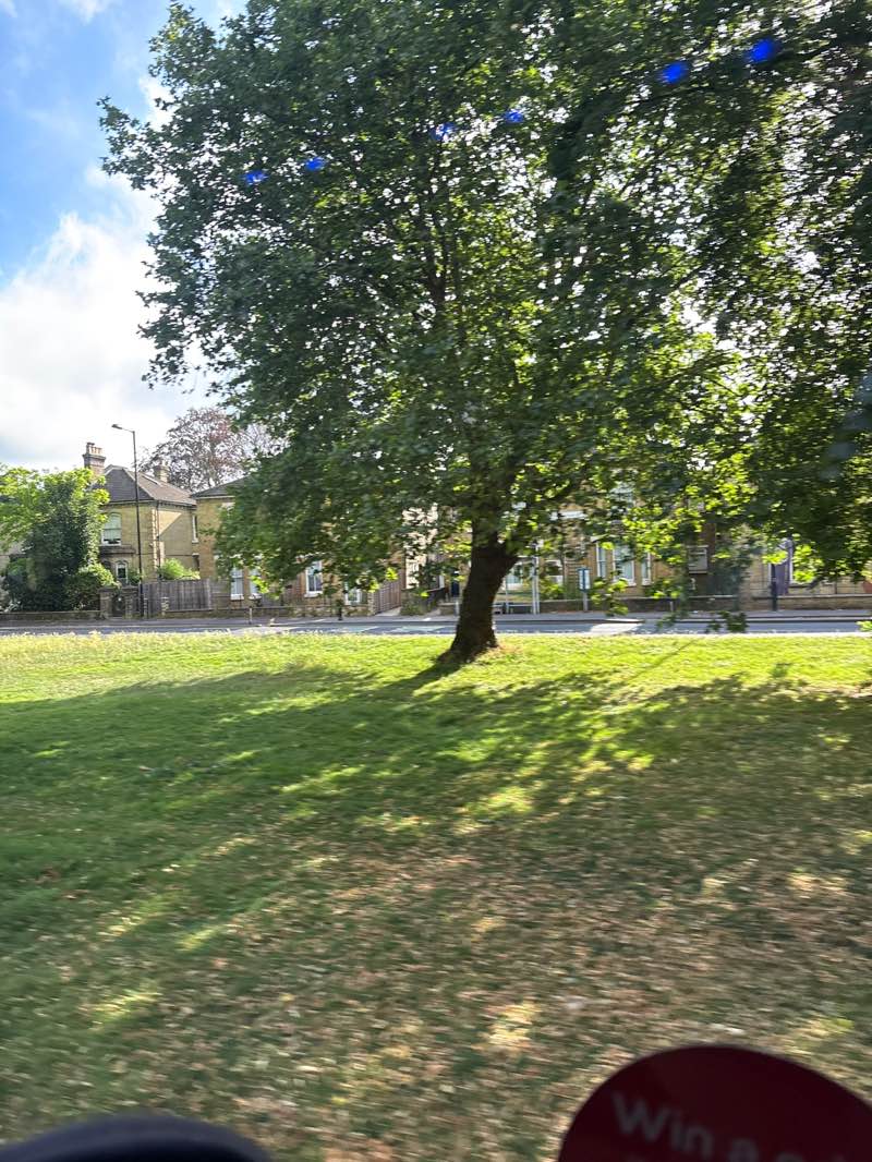 walking near me in Asylum Green in summer