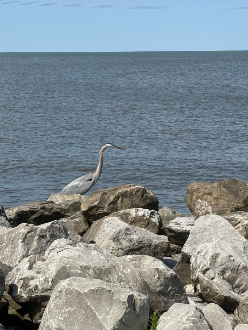 walking near me in Pontchartrain Park in spring
