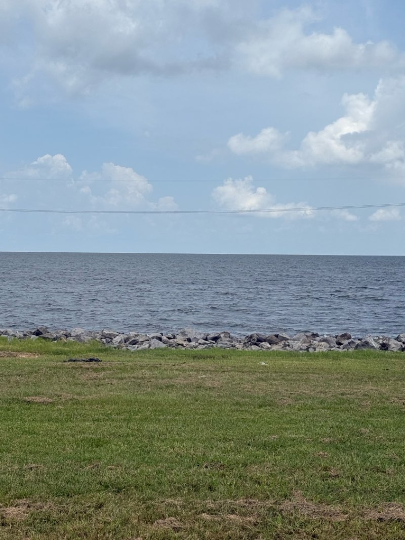 walking near me in Pontchartrain Park in summer