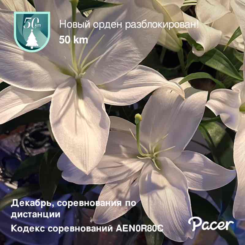 Энгелиаль post 1