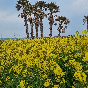 뚜벅이인숙 profile