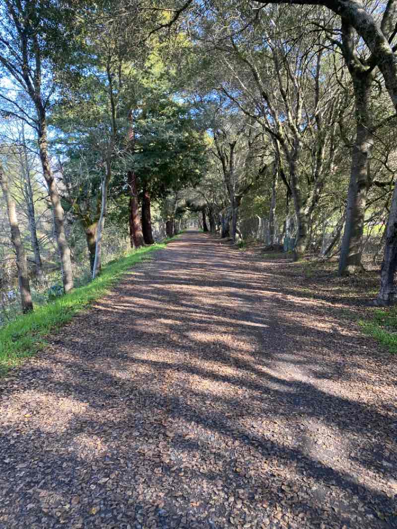 walking near me in A Place To Play in winter