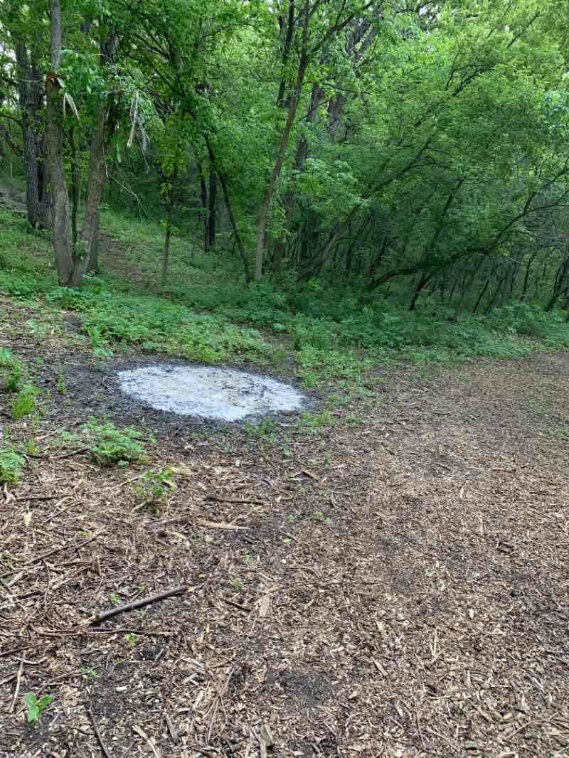 walking near me in Barsness Park in winter