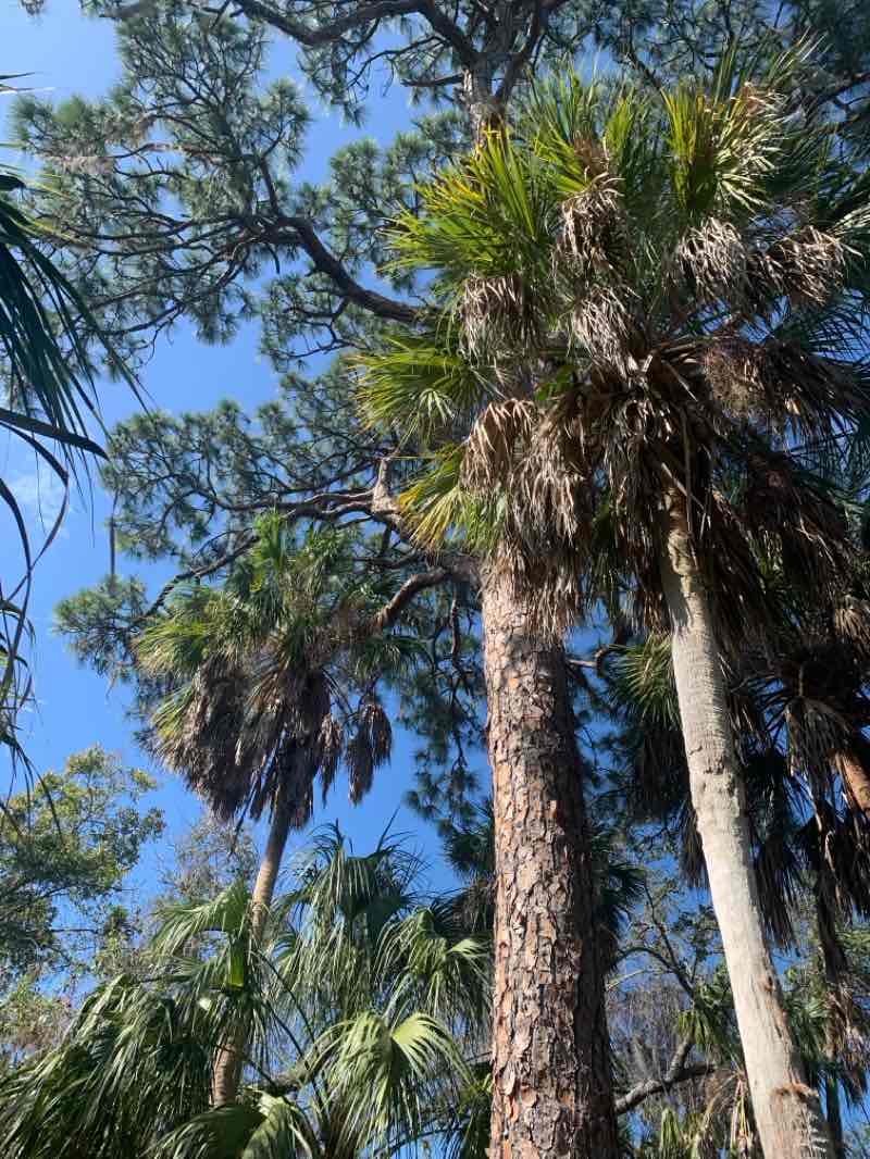 walking near me in DeSoto National Memorial in winter