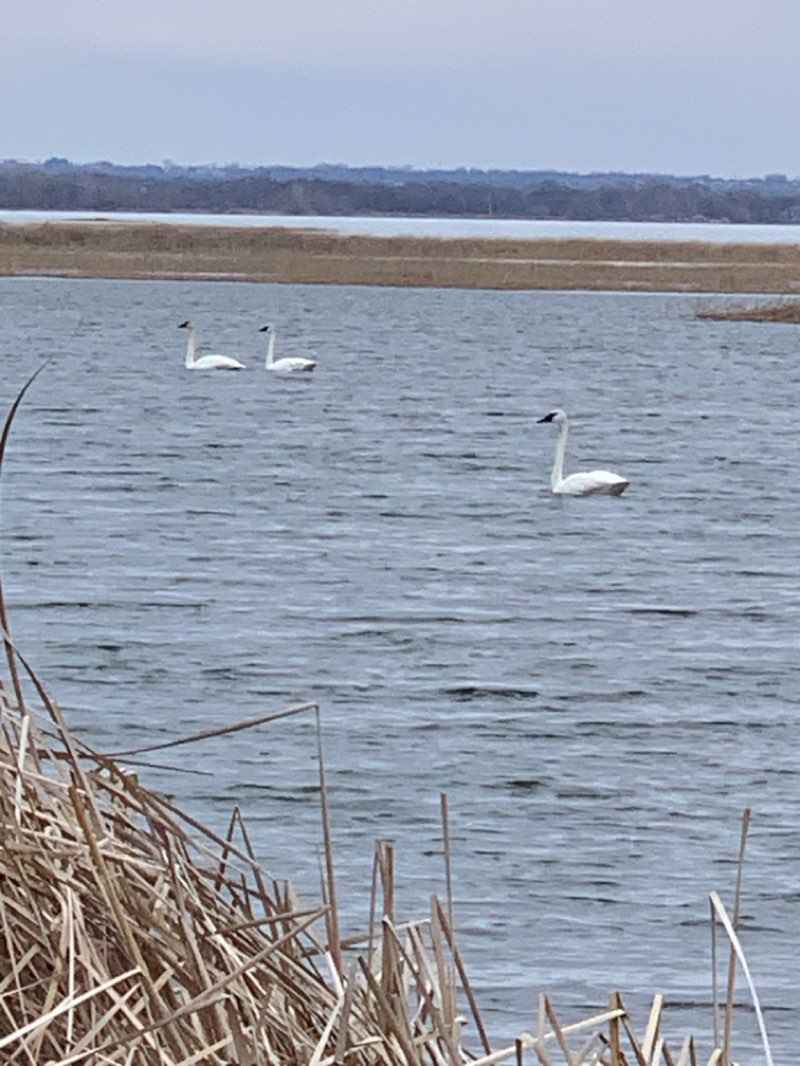 walking near me in Starbuck City Park in spring