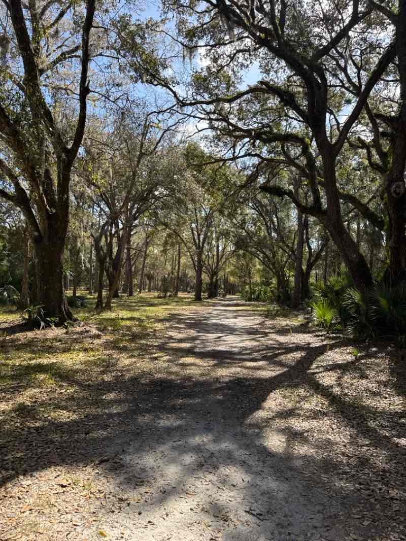 walking near me in John Chestnut Sr. Park in winter
