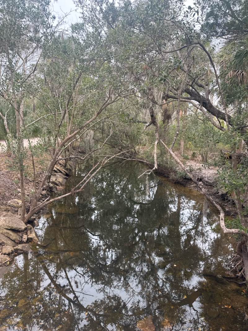 walking near me in Hammock Park in winter