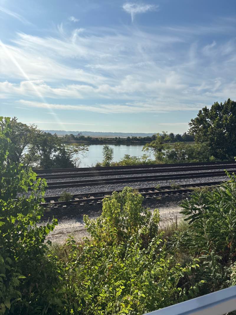 walking near me in Long Bridge Park in autumn