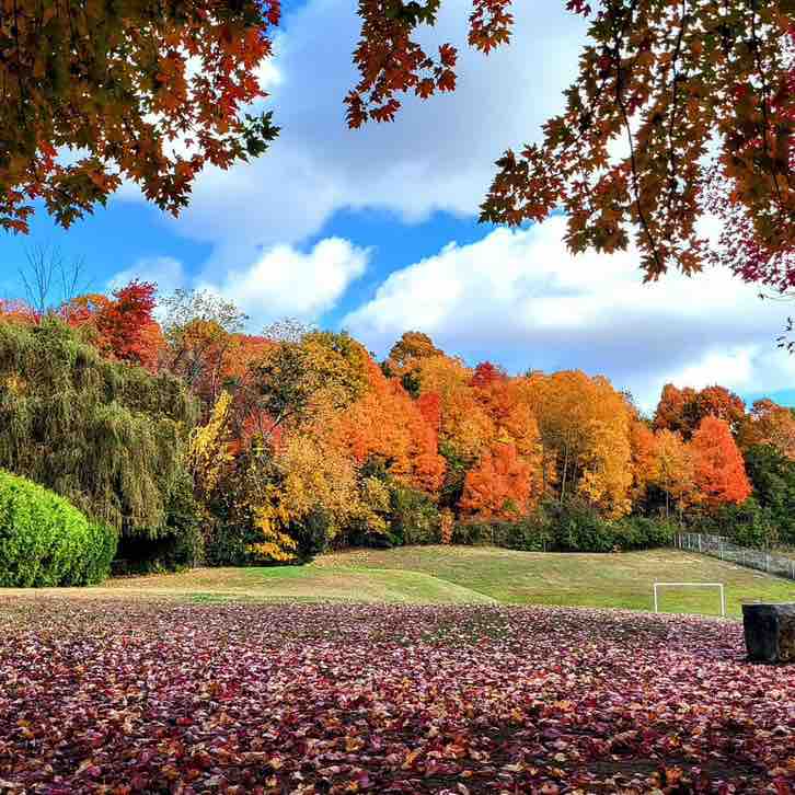 Aicha🇲🇦🇨🇦❤️ post 2