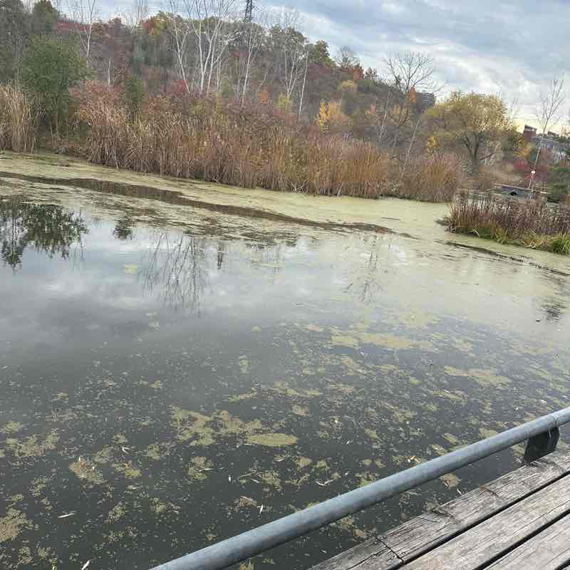 Aicha🇲🇦🇨🇦❤️ post 2