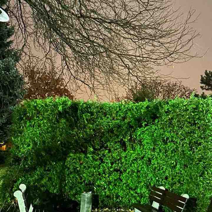 Aicha🇲🇦🇨🇦❤️ post 2