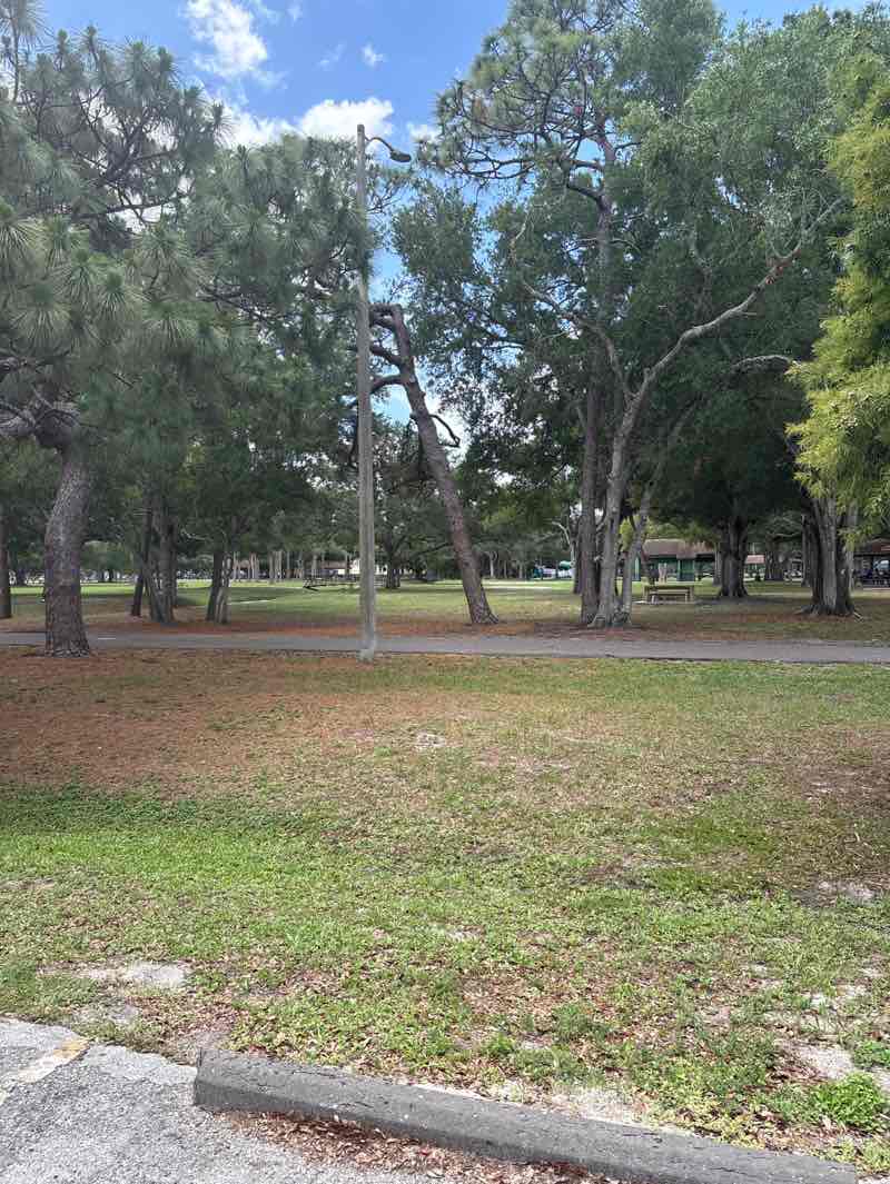 walking near me in Al Lopez Park in summer