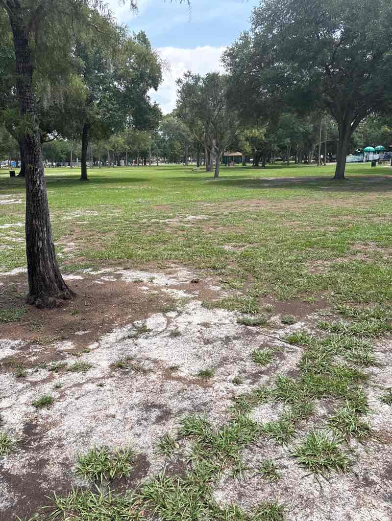 walking near me in Al Lopez Park in summer