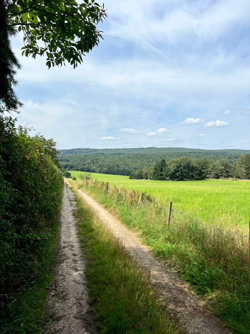 walking near me in Villa Sachsen in winter