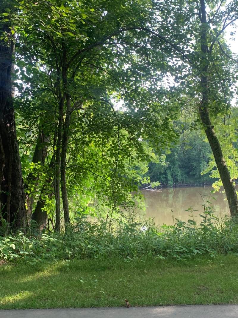 walking near me in Grand River Park in winter